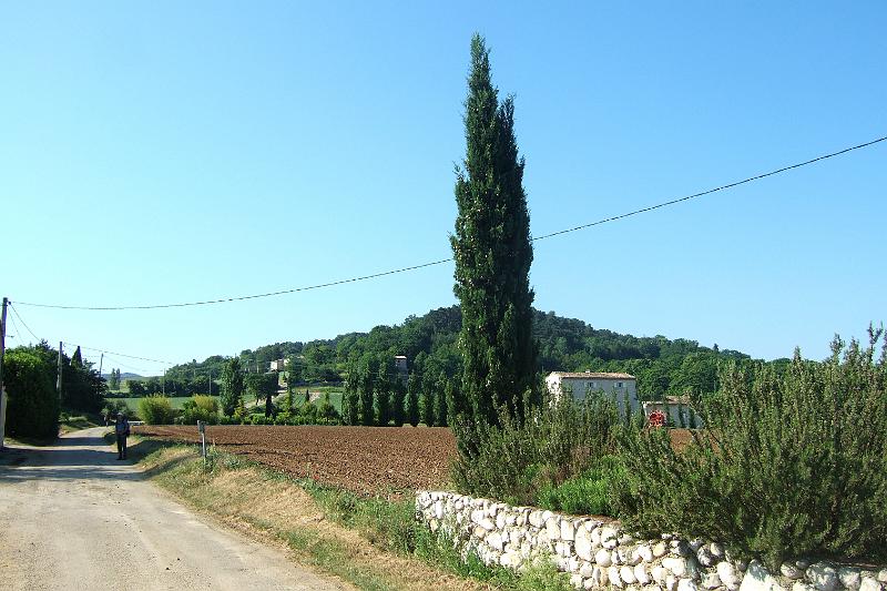 2011-05- (1481).JPG - Jetzt aber der Blick nach vorn: Diesen kleinen Hügel von 393 m Höhe gilt es zu besteigen